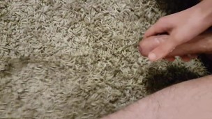 Pissing the carpet and cum