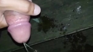 Front Porch Pissing