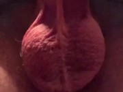 Raising my huge testicles hands free