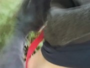 Trippy Public Pissing Pussy 5/16