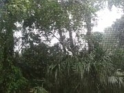 Black STEP MOM Big Ass Thong Twerk Anal Creampie Audio Story - Cami Creams 2/16