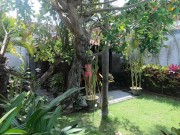 Puma Swede shows your diamonds in her villa with swimming pool 1/16