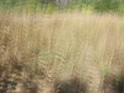 Русская боится брать в рот в кустах. Давай скорей я так скучала по нему. 8/16