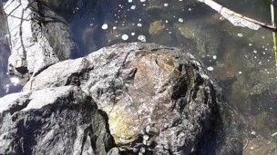 Quick piss before I launch my kayak