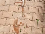 Public park desperation, peeing bikini female POV