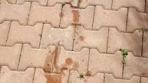 Public park desperation, peeing bikini female POV