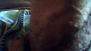 Rubbing my dick