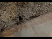 WEEK IN REVIEW #6 | HARPERMADI 13/16