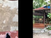 WEEK IN REVIEW #6 | HARPERMADI 9/16