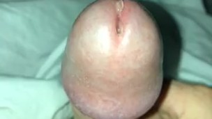 Creampie 