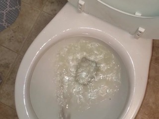 Girl Stands To Pee In Toliet Like A Boy