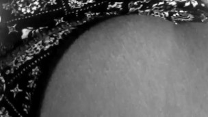 Lil tease 