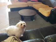 Football mom (part 1) 7/16