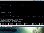 Linux Time Saving Tip: Use Bash Aliases for Commands! - Screenshot 8 of 16 - HD