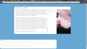 Can a DOS Program Provide the BEST Distraction-Free Writing Experience?