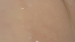 Leche para las perras 