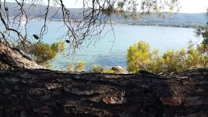 NO PANTIES Enjoying the HAMMOCK