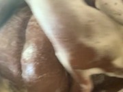 BBW Shower Silliness