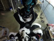 Murrsuiter gets pegged hard by a dominatrix in a swing 13/16