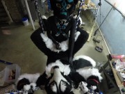 Murrsuiter gets pegged hard by a dominatrix in a swing 9/16