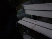 Public Piss On The Park Bench 11/16