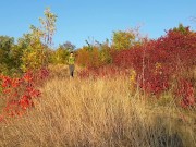 PUBLIC PISSING on Jogging Trail