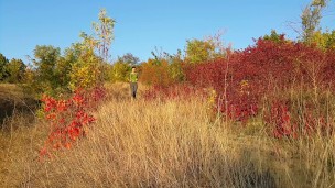 PUBLIC PISSING on Jogging Trail