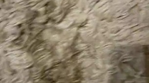 Just a little carpet piss