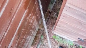 Taking a piss behind the shed in my work trousers