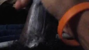 COCO BUTTERED DICK