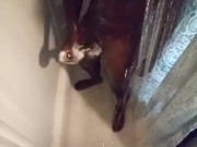 Fresh out first nut