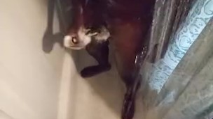 Fresh out first nut