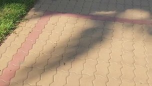 Walking down the street naked in public. Together. POV. Amateur MiaAmahl