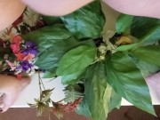 Piss cleaning some dusty fake flowers
