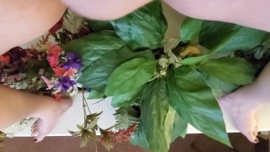 Piss cleaning some dusty fake flowers