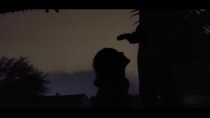 Sucked His Cock in a Rain Storm