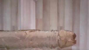 Fucked my ass with dildo