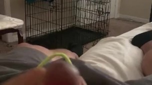 Little clip