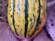 GOURD just too HUGE to fit in my pussy . (HD 11pro)