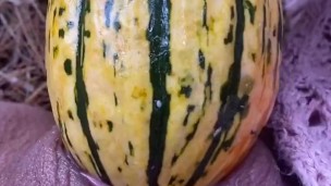 GOURD just too HUGE to fit in my pussy . (HD 11pro)