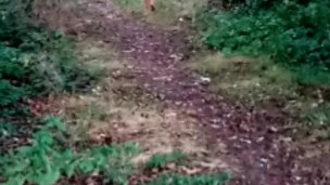 Dared to walk 50 steps away from my clothes in forest