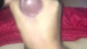 Jakol marami tamod