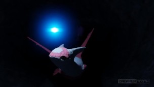 CUTE DRAGON BIRD RAILED BY HORNY BAT [LATIAS x NOIVERN] [CUM EXPLOSION]