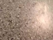 Bustin a nut! - Screenshot 14 of 16 - Pretty Dick