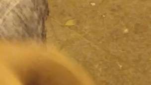 masturbation in the park