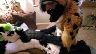 A special 8k twitter follower count video! - RedTube