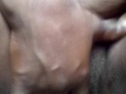 Foxy fox - Screenshot 11 of 16 - HD