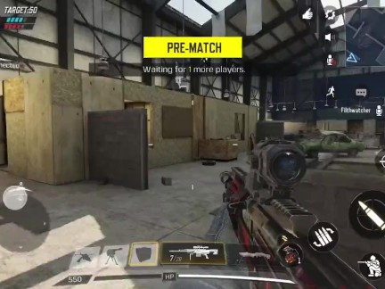 Blowjob? COD: Mobile? Backshots?