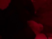 Teddy - Screenshot 6 of 16 - Toy