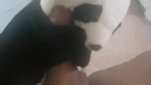 panda fun.